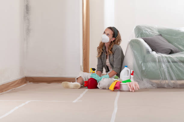 Trusted Black Mold Removal service in McAlisterville, PA - Cheap Mold Removal